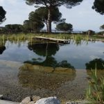 lago artificial,estanques, illaforta,,mexico,lagos artificiales pequeños,lagos pequeños artificiales,lagos artificiales caseros,lago artificial pequeño,construccion lago artificial,lago artificial mexico,lago artificial monterrey,lago artificial guadalajara,lago artificial expertos