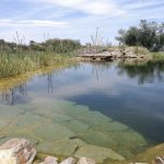 lago artificial,estanques, illaforta,,mexico,lagos artificiales pequeños,lagos pequeños artificiales,lagos artificiales caseros,lago artificial pequeño,construccion lago artificial,lago artificial mexico,lago artificial monterrey,lago artificial guadalajara,lago artificial expertos