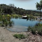 lago artificial,estanques, illaforta,,mexico,lagos artificiales pequeños,lagos pequeños artificiales,lagos artificiales caseros,lago artificial pequeño,construccion lago artificial,lago artificial mexico,lago artificial monterrey,lago artificial guadalajara,lago artificial expertos